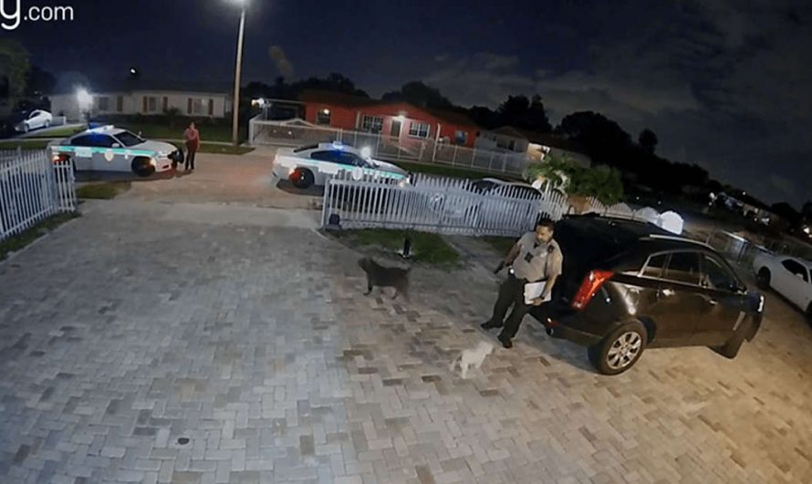 Un agente de policía mata a un perro en Miami-Dade tras queja por ladridos (+Video)