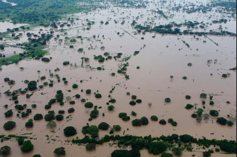 Productores agropecuarios precisan que 28.000 hectáreas están inundadas en Catatumbo